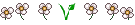 co-admin co-admin