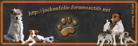 site de rencontre pour jack russel