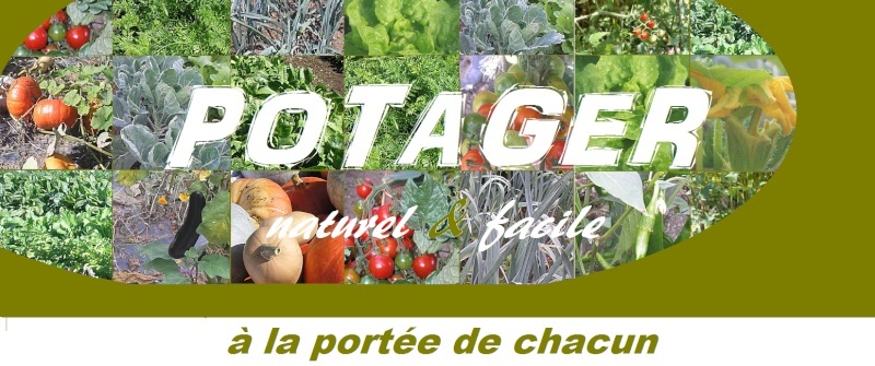 potager naturel facile