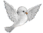 Voir le dernier message Voir le dernier message