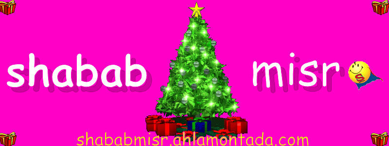 شمس الدين