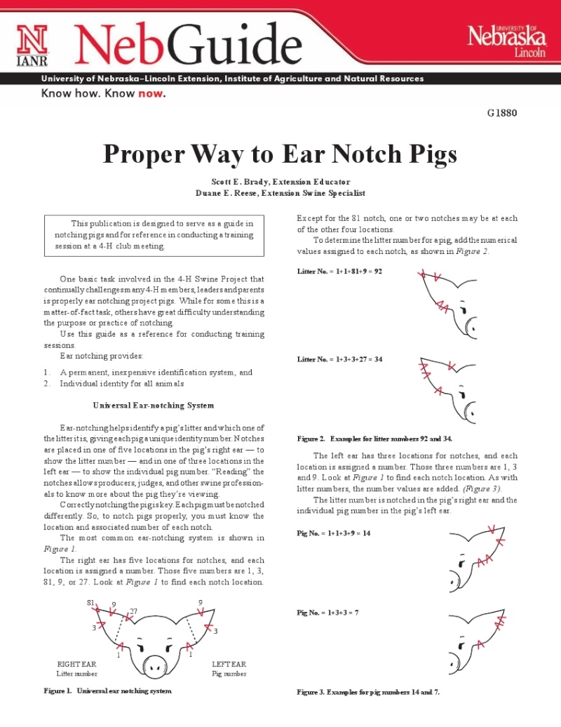 Swine Ear Notches