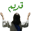 لا مساهمات جديدة