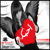 مساهمات جديدة