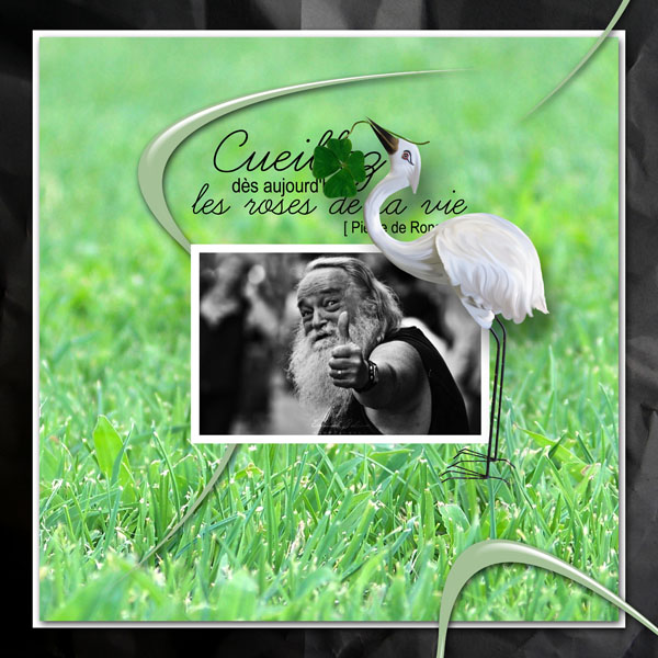 green attitude kit simplette page simplette