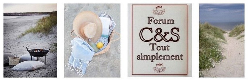 Le scrap clean and simple