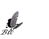 gifs_b12.gif