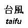 taifu10.jpg