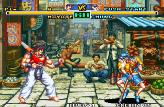mvs-sa10.jpg